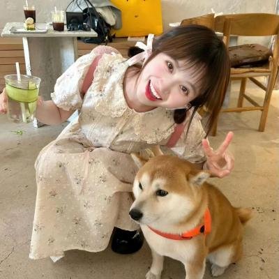 惜花芷